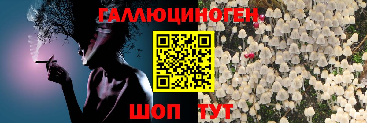 Галлюциногенные грибы мухоморы  Галлюциногенные грибы мицелий  Богданович  Вход с VPN 